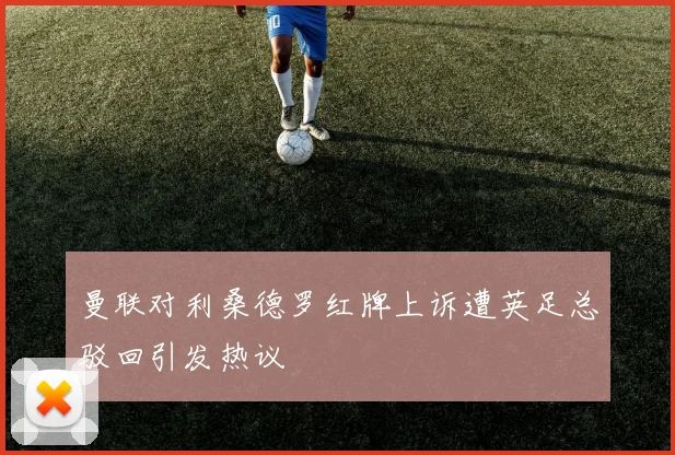 曼联对利桑德罗红牌上诉遭英足总驳回引发热议