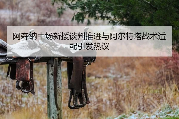 阿森纳中场新援谈判推进与阿尔特塔战术适配引发热议